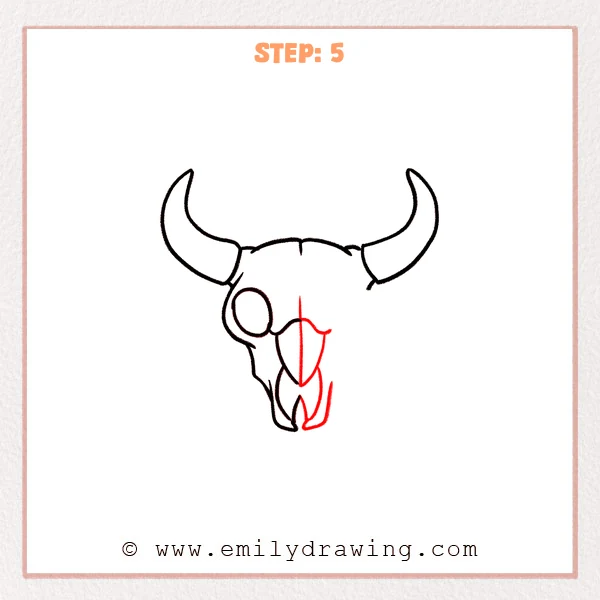 how to draw a bull skull - Bull skull drawing with a vertical center guide line, a shield-shaped nasal area, and a clearly split lower jaw added beneath the skull.